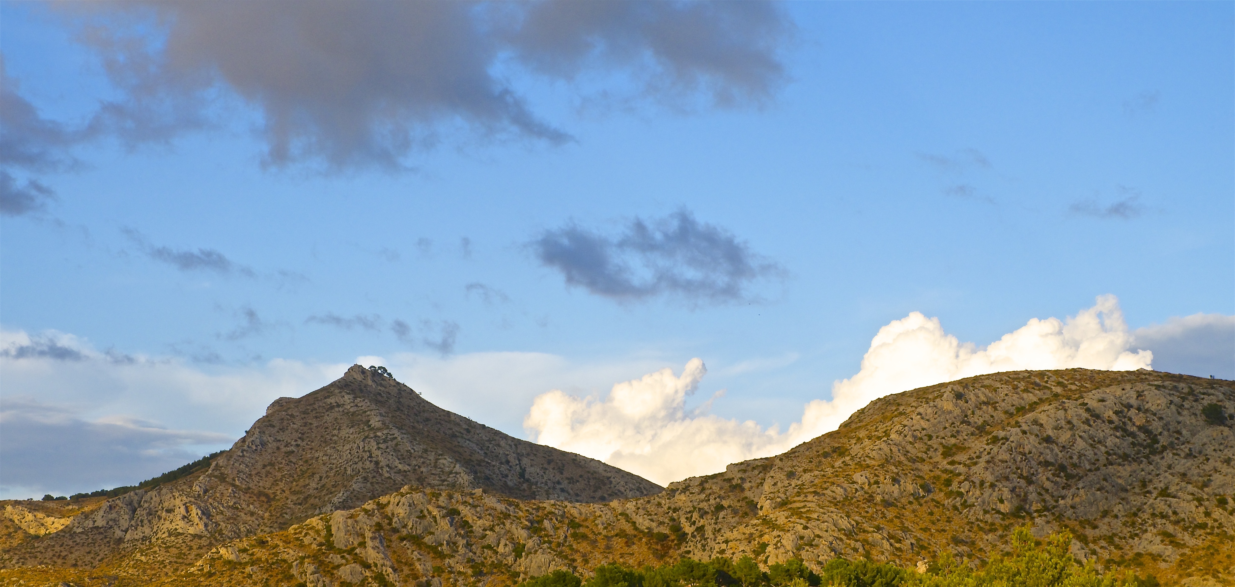 Alcudia4