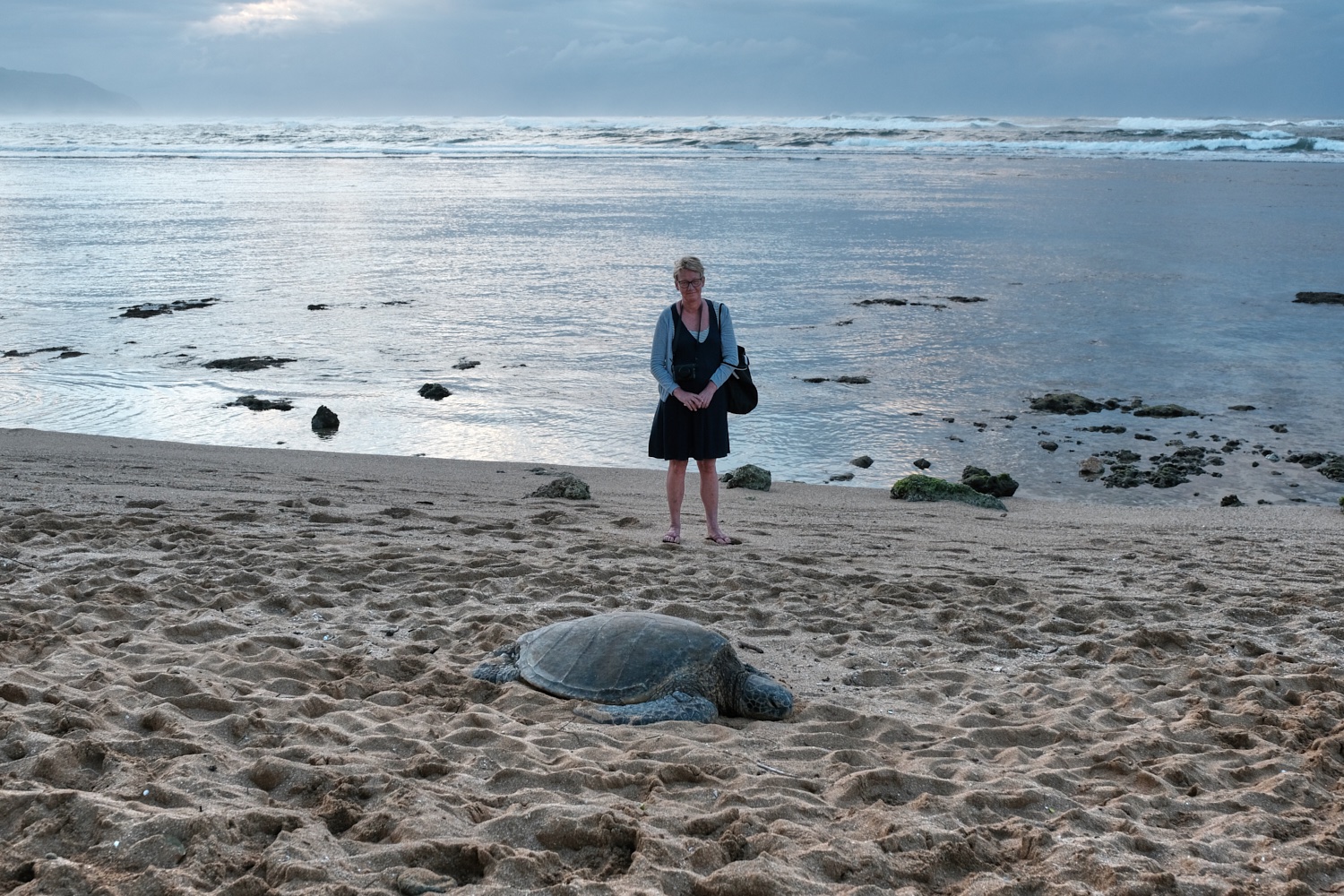 Sabine+Turtle1500 2